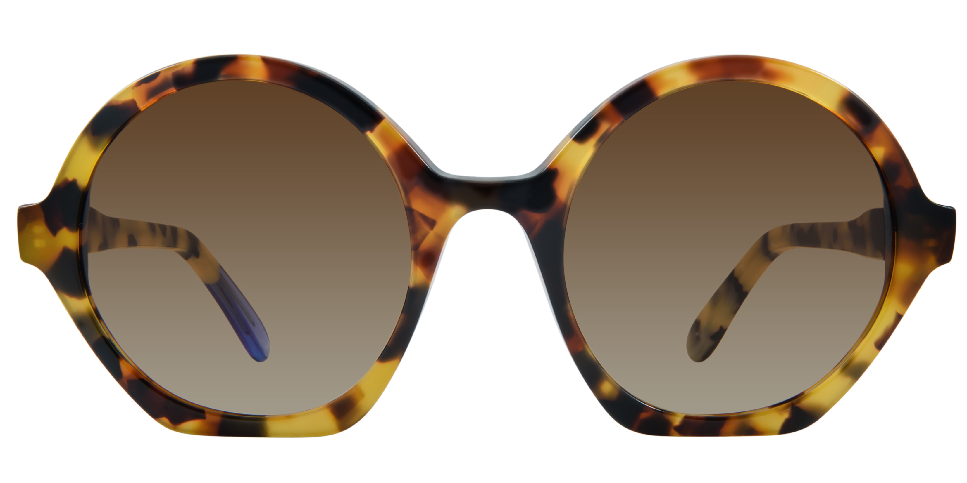 Chloe bianca sunglasses shop
